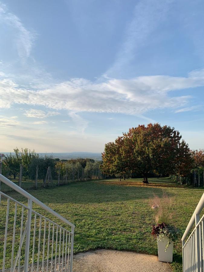 Апартаменты La Terrazza Sul Ciliegio Марино Экстерьер фото