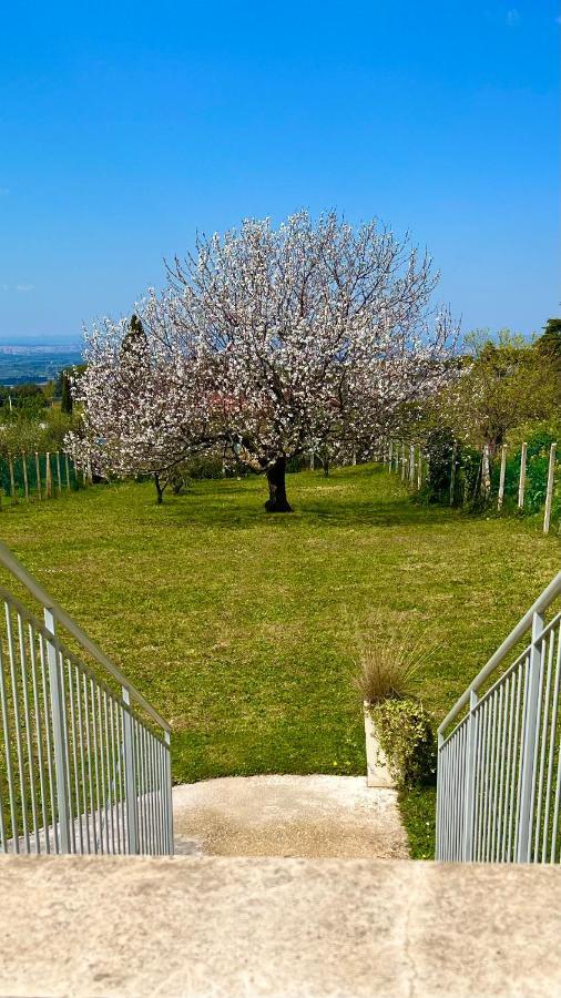 Апартаменты La Terrazza Sul Ciliegio Марино Экстерьер фото